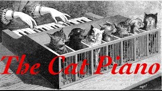 All About The Cat Piano [upl. by Namar]