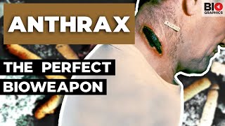 Anthrax Nature’s Perfect Bioweapon [upl. by Enelrad550]