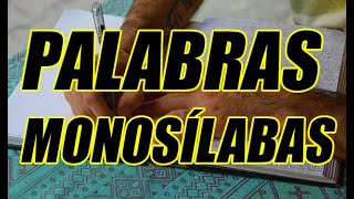 PALABRAS MONOSÍLABAS BIEN EXPLICADAS CON EJEMPLOS ¡DESCÚBRELAS  WILSON TE EDUCA [upl. by Landon]