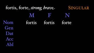 Third Declension Adjectives [upl. by Etteve]