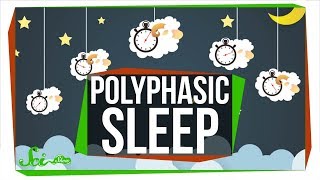 What Do Scientists Really Know About Polyphasic Sleep [upl. by Xuaeb]