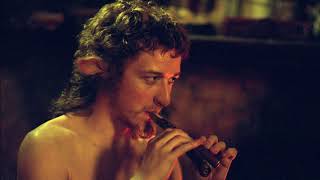 Narnia Soundtrack  Mr Tumnus Theme Flute [upl. by Annad]