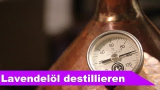 🌷 Lavendel destillieren 🌻  ätherisches Öl selber machen  diSTILLed [upl. by Ynaffit]