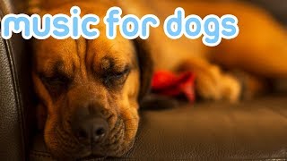 10 HOURS Deep Separation Anxiety Music for Dogs Chill Your Dog 247 [upl. by Griffiths205]