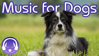 15 Hours of Soothing Dog Therapy Music  INSTANTLY Calm My Dog Down TESTED [upl. by Eelibuj852]