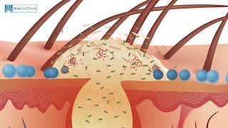 Physiologie de la circulation coronaire [upl. by Lynnett]