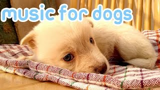 15 Hours of Anti Anxiety Music for Dogs NEW 2019 [upl. by Frentz]