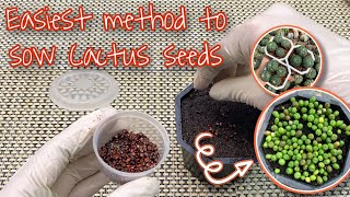 How to Grow Cactus from Seeds like a Pro [upl. by Naoh]