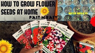 How To Grow Flower Seeds Fast With Update [upl. by Alaine775]