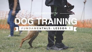 DOG TRAINING FUNDAMENTALS LESSON 1 [upl. by Brenan865]