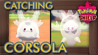 Pokémon Sword amp Shield  How to Catch Corsola amp Evolve it into Cursola [upl. by Orin685]