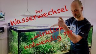 Wasserwechsel im Aquarium  Profi Tipp [upl. by Nnawaj606]