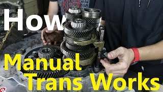 How a VW Manual Transmission Works [upl. by Ssyla]