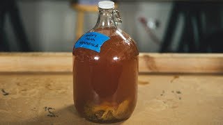 How to Make Your Own Mead [upl. by Nanete]