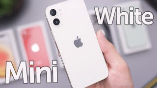 White iPhone 12 Mini Unboxing amp First Impressions [upl. by Isewk898]