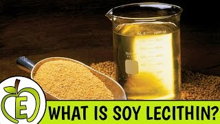 Soy Lecithin Why It Is Bad For You [upl. by Ahselrac]