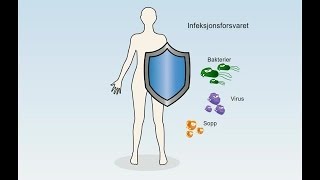 Immunforsvaret  Immunsystemet  Infeksjonsforsvaret [upl. by Elsilrac]