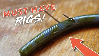 Bass Fishing 101 5 Bass Fishing Rigs You NEED to KNOW [upl. by Janna]