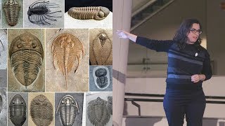 Trilobite Takedown – AMNH SciCafe [upl. by Nevag]