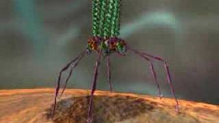 Finding and Isolating Phages [upl. by Darrey710]