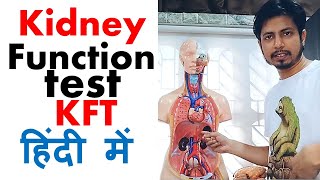 Kidney function test in hindi  Normal range and procedure explained [upl. by Fritzie946]