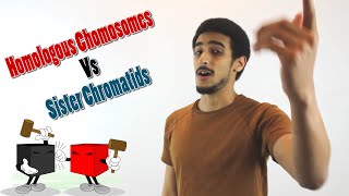 Homologous chromosomes Vs Sister Chromatids شرح بالعربي [upl. by Gefen972]