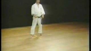 Hangetsu  Shotokan Karate [upl. by Dickenson]