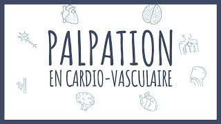 Sémiologie Cardiaque  Palpation [upl. by Adnof]