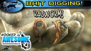 Awesome Bait Digging Tips  Ragworm  TAFishing [upl. by Horter]