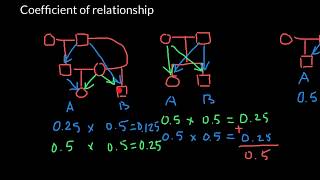 How to Find Coefficient Of Relationship [upl. by Pavlov758]