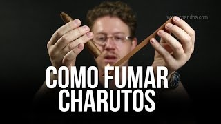 Como Fumar um Charuto  Como Degustar um Charuto  Degustando Charutos [upl. by Anele205]