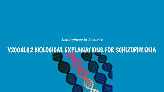 ALevel Psychology AQA Biological Explanations for Schizophrenia [upl. by Etsirhc834]