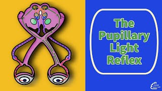 The Pupillary Light Reflex [upl. by Chadabe380]