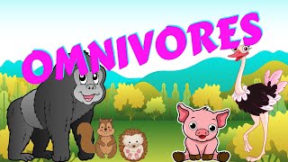 Omnivores  Types of Animal  Science for Kids [upl. by Ennylyak939]