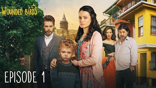 Wounded Birds  Episode 1  Multi Lang Subtitles Turkish Drama  Yaralı Kuşlar 2019 [upl. by Joeann]