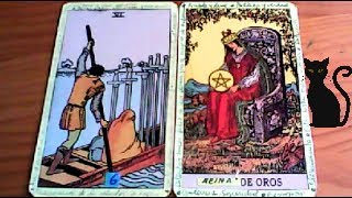 Combinaciones tarot con el SEIS de ESPADAS  ARCANOS MENORES DE OROS Por TARA [upl. by Anaer]