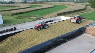 Corn Silage Harvest Begins  Filling the Big Bunk [upl. by Zanlog]