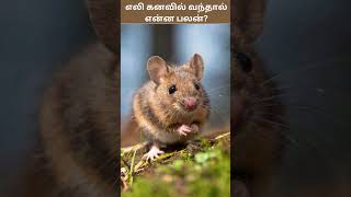 எலி கனவில் வந்தால் என்ன பலன்  Eli kanavil Vanthal Enna Palan  Digital Naveen [upl. by Lampert]