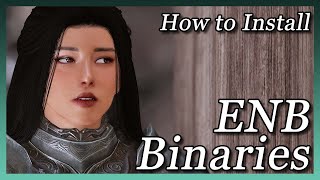 Skyrim  How to Install ENB Binaries Updated 2020 [upl. by Ayet]