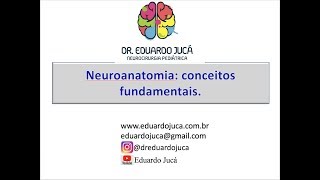 Neuroanatomia Conceitos Fundamentais [upl. by Derman]