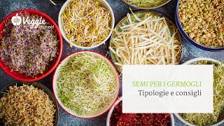 Semi per i germogli tipologie e consigli [upl. by Esteban]