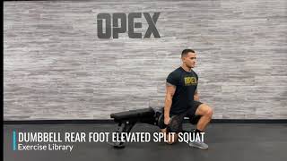 Dumbbell Rear Foot Elevated Split Squat [upl. by Neerihs]