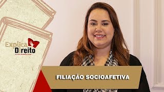 Explica Direito Filiação Socioafetiva  2019 [upl. by Leeland517]