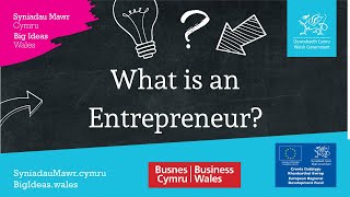 What is an entrepreneur [upl. by Lowry]