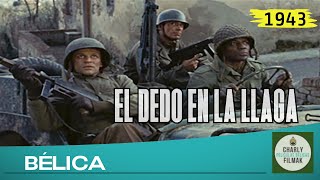 El dedo en la llaga 1969  Belica  Pelicula Clasica  Segunda Guerra Mundial [upl. by Topper]