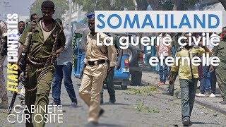 Somalie  Une guerre civile sans fin [upl. by Rider567]