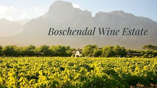 Boschendal Wine Estate [upl. by Rayshell]