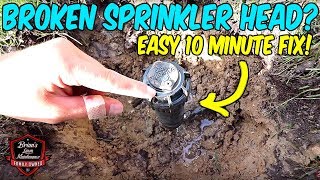 How To Easily amp Quickly Replace A Broken Sprinkler Head [upl. by Reidar]