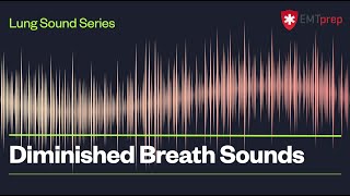 Diminished Breath Sounds  EMTprepcom [upl. by Eustache]