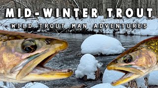 Fly Fishing For MidWinter Pennsylvania Trout STREAMERS [upl. by Pulcheria219]